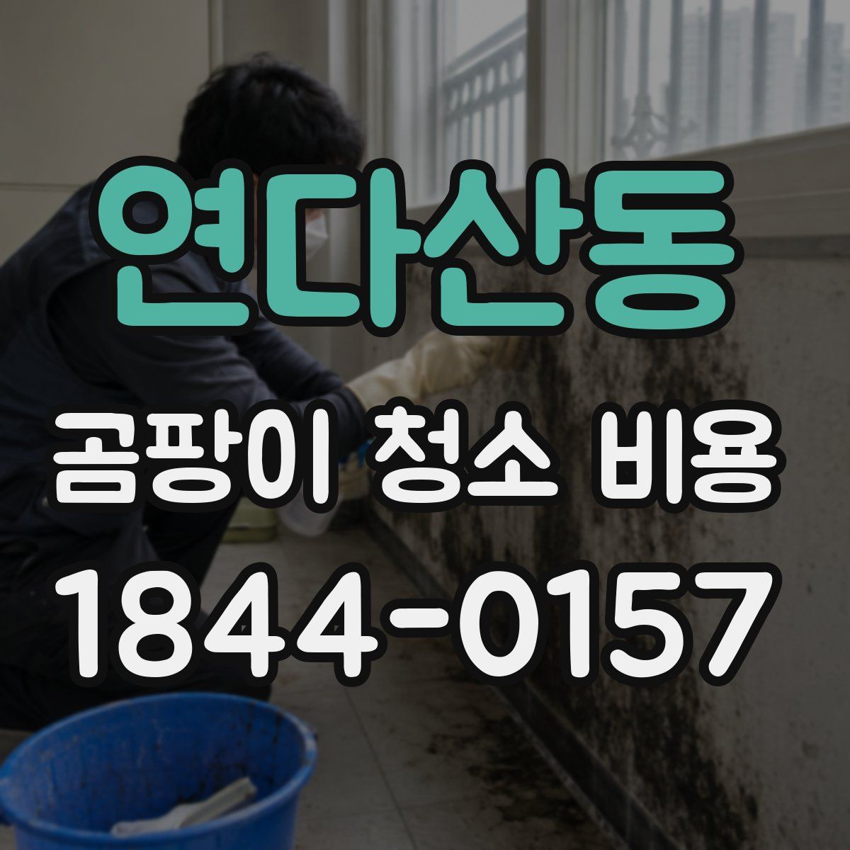 연다산동 곰팡이 청소 비용