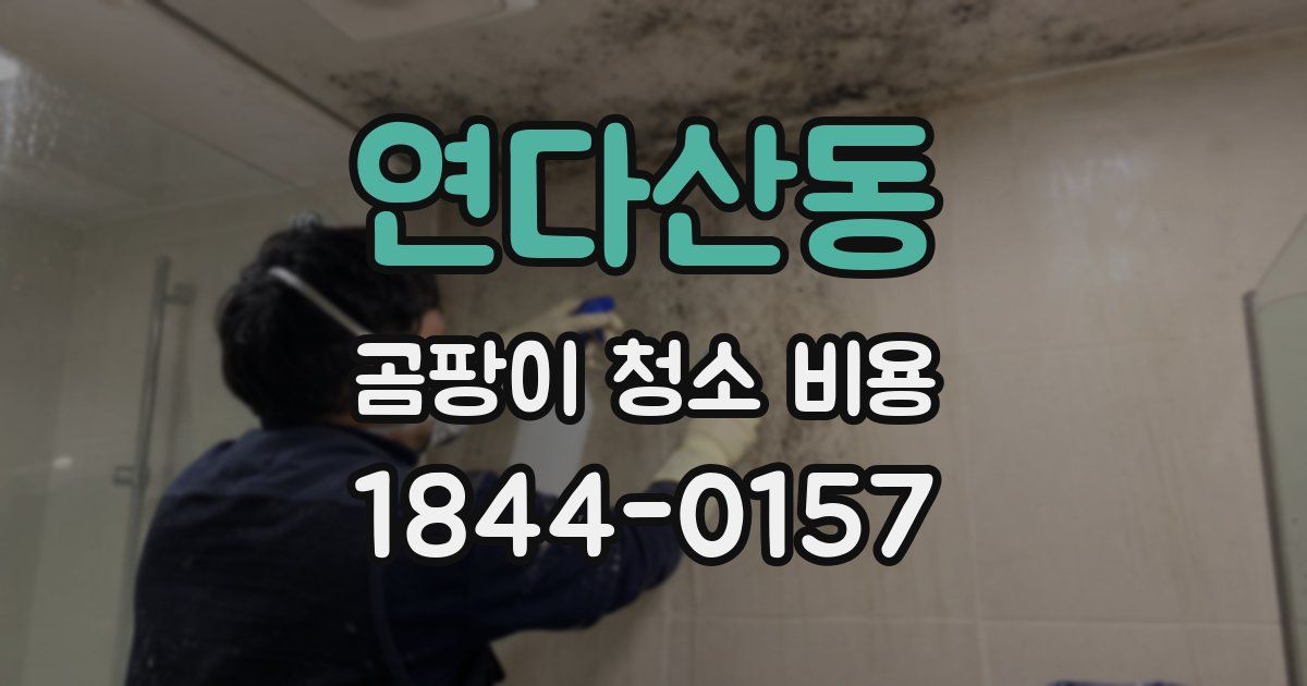 연다산동 곰팡이 청소 비용
