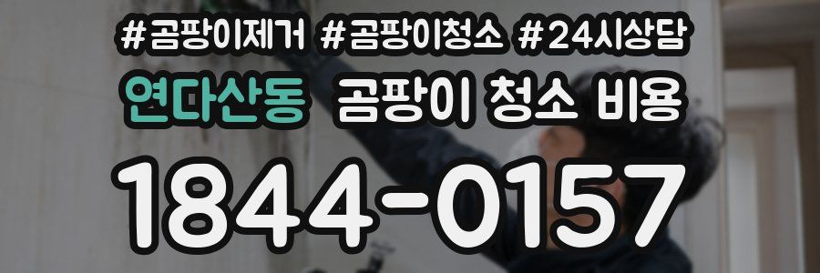연다산동 곰팡이 청소 비용