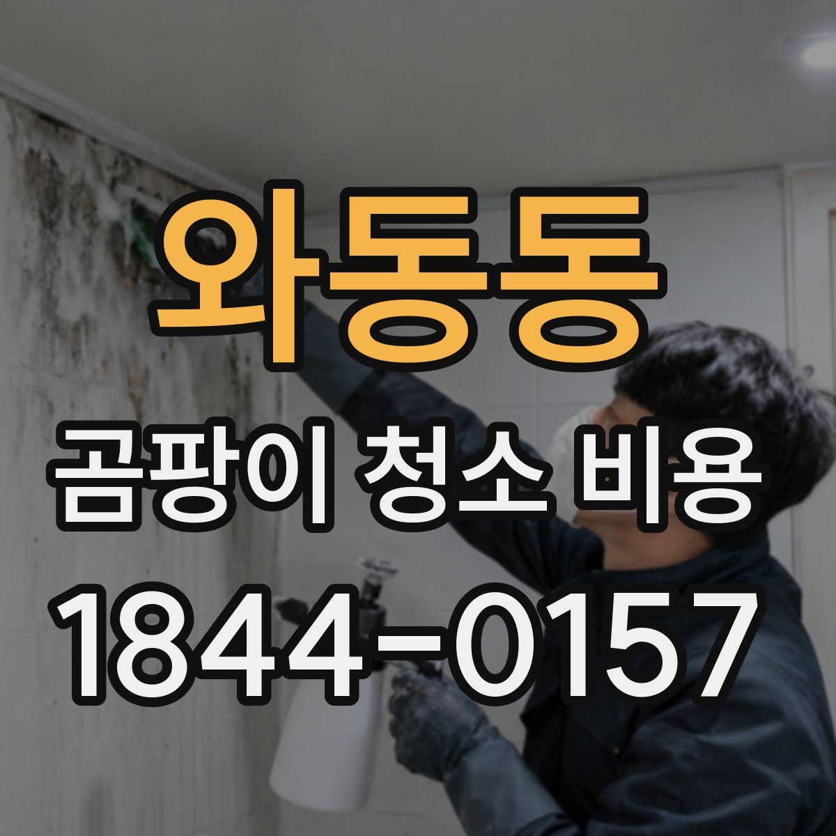 와동동 곰팡이 청소 비용