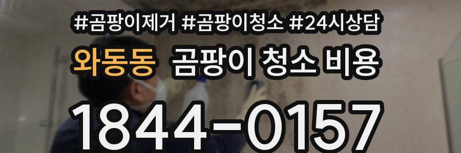 와동동 곰팡이 청소 비용