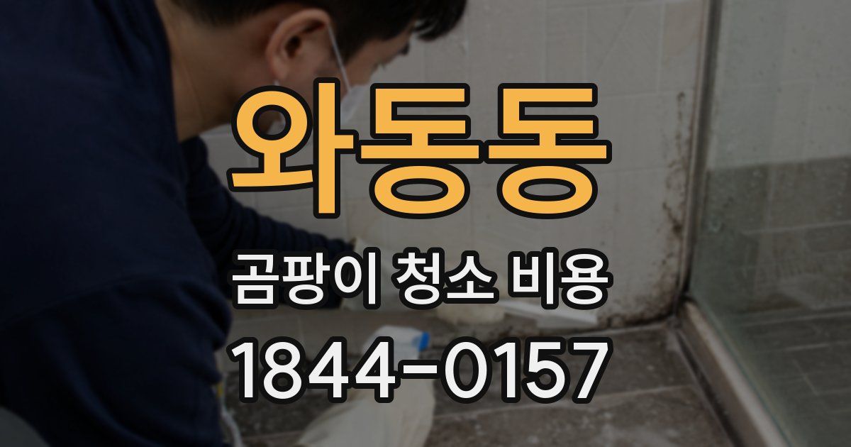 와동동 곰팡이 청소 비용
