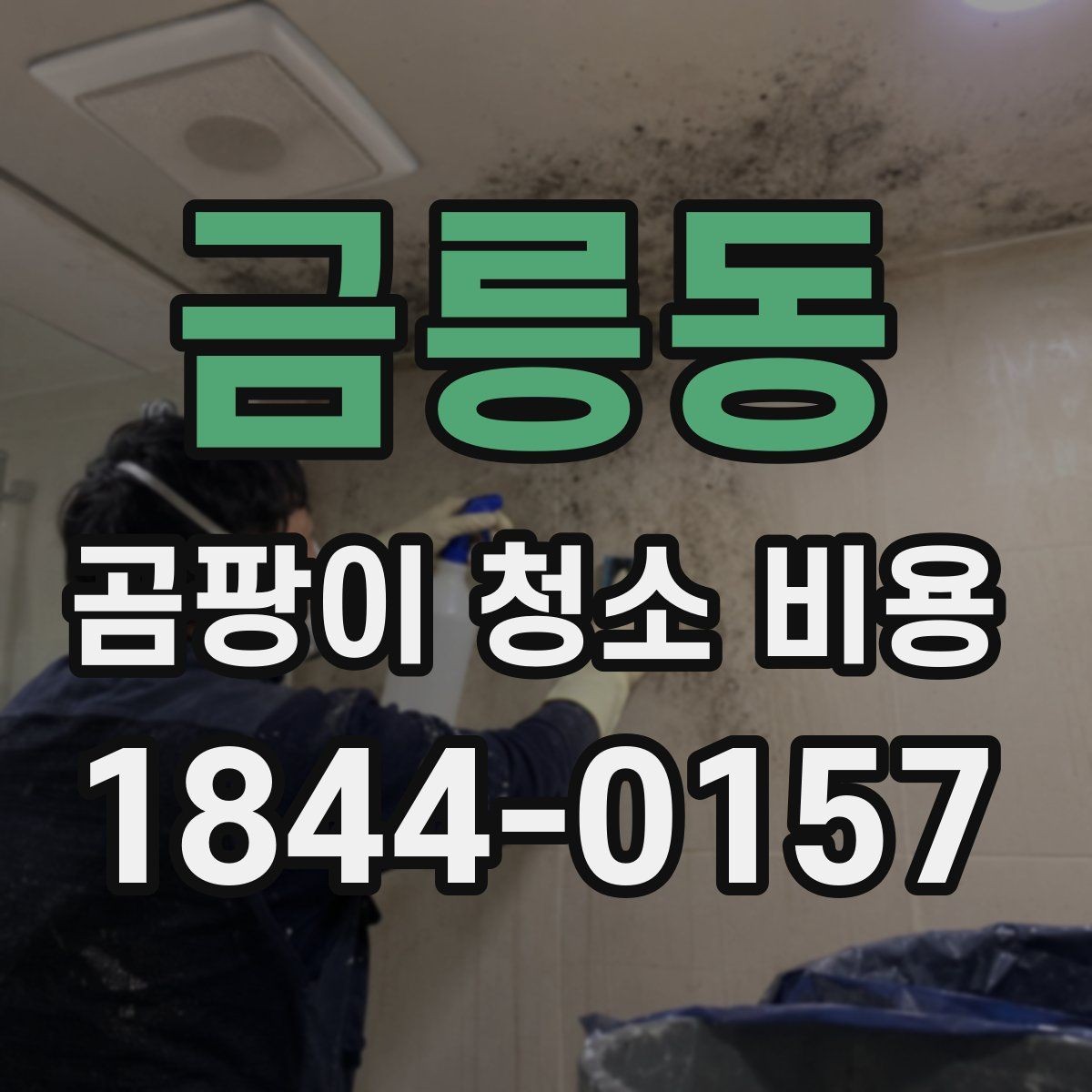 금릉동 곰팡이 청소 비용 베란다와 다용도실 습기 문제를 함께 볼 때