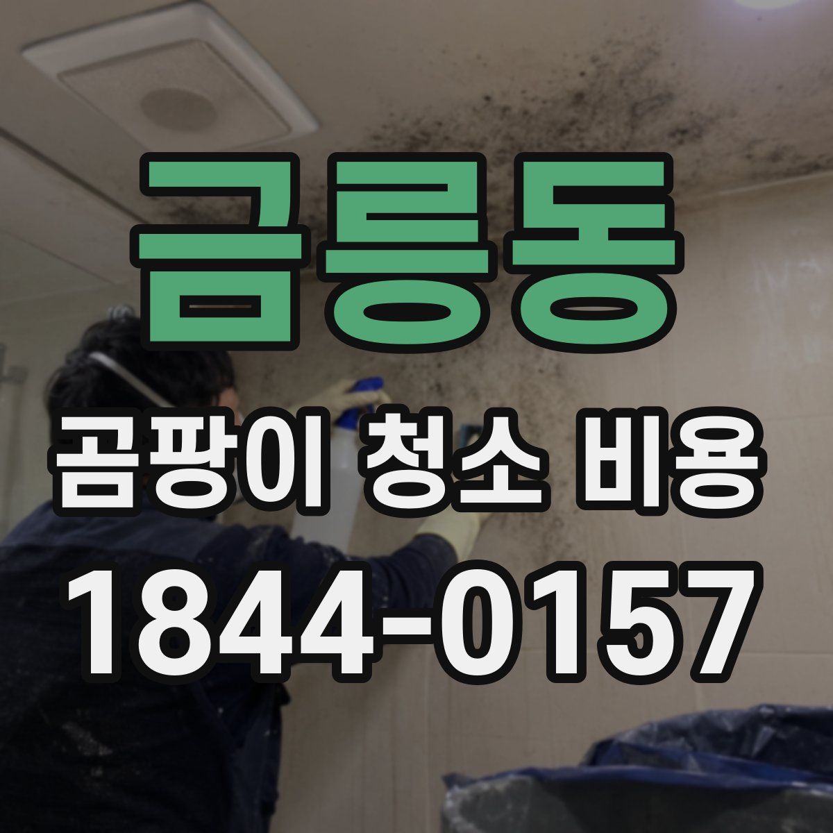 금릉동 곰팡이 청소 비용