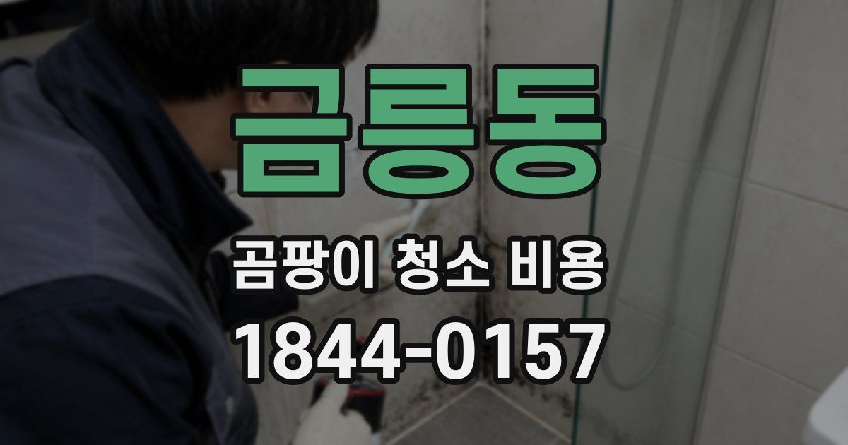 금릉동 곰팡이 청소 비용