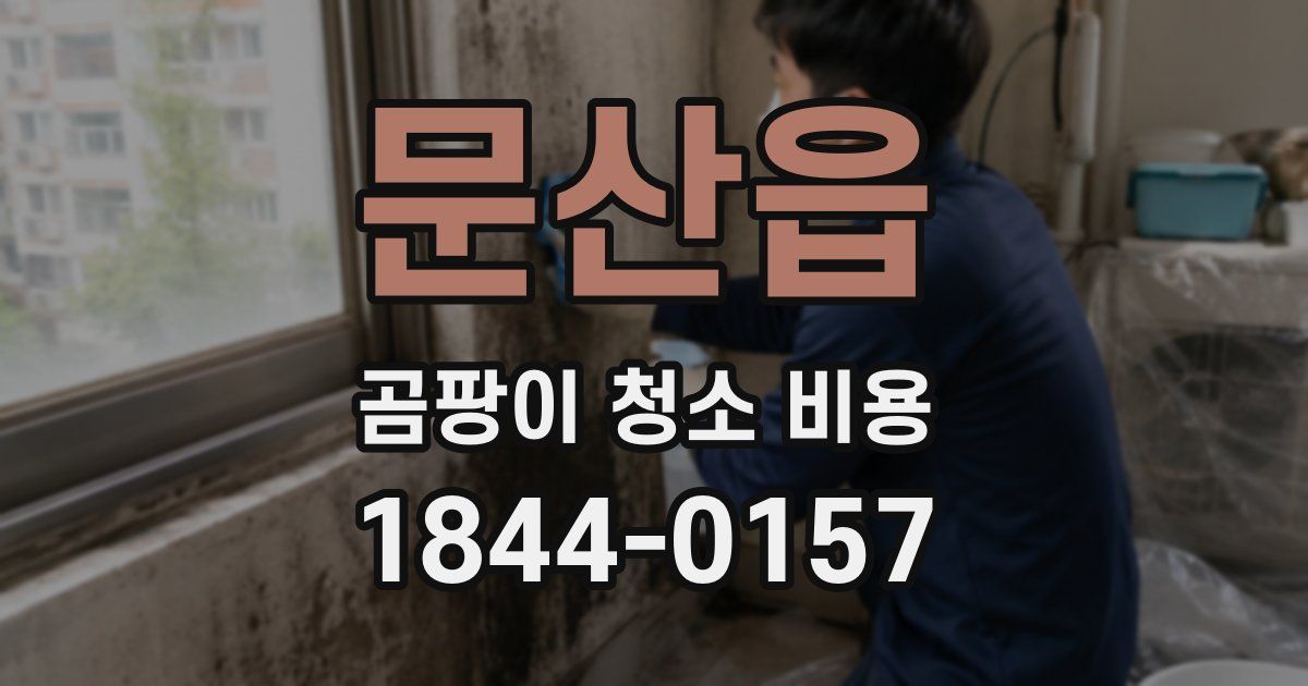 문산읍 곰팡이 청소 비용