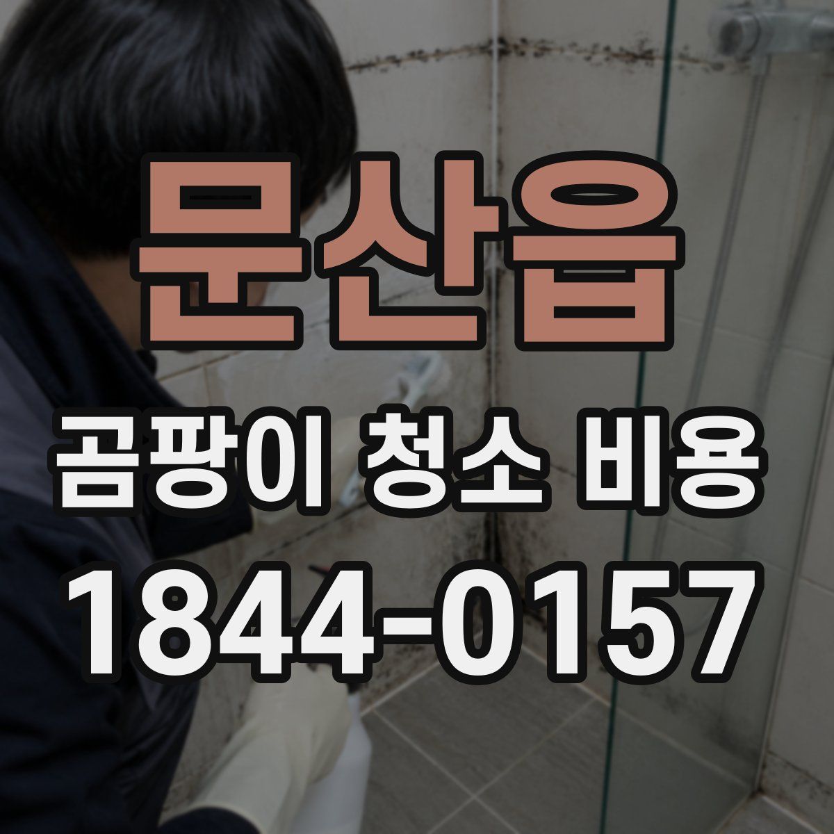 문산읍 곰팡이 청소 비용
