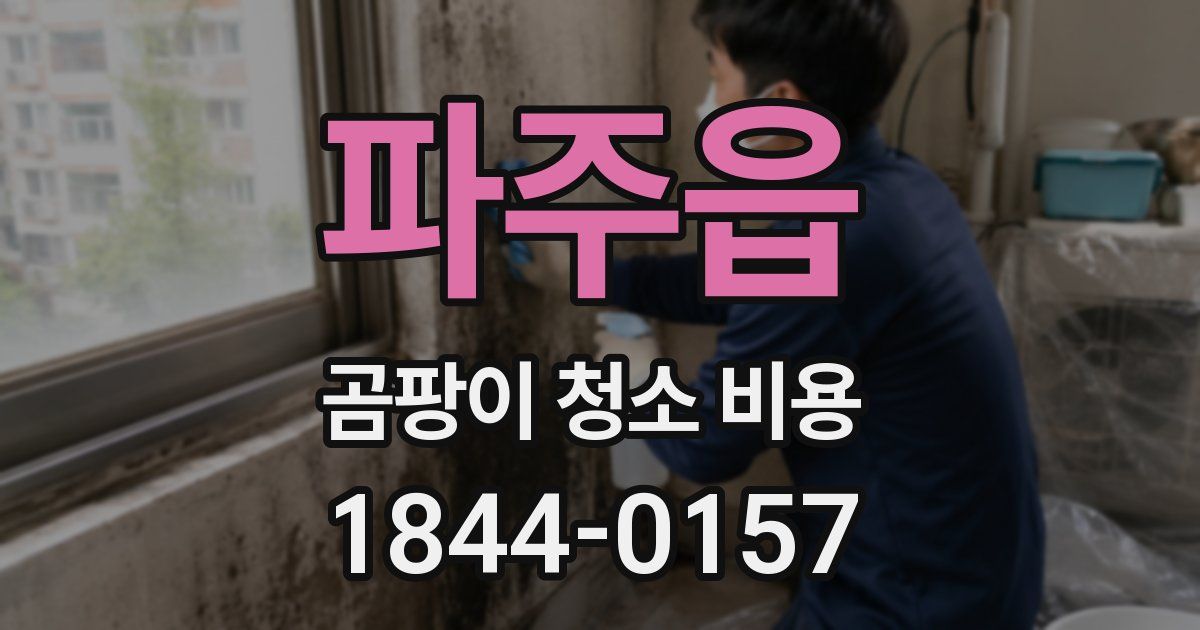 파주읍 곰팡이 청소 비용