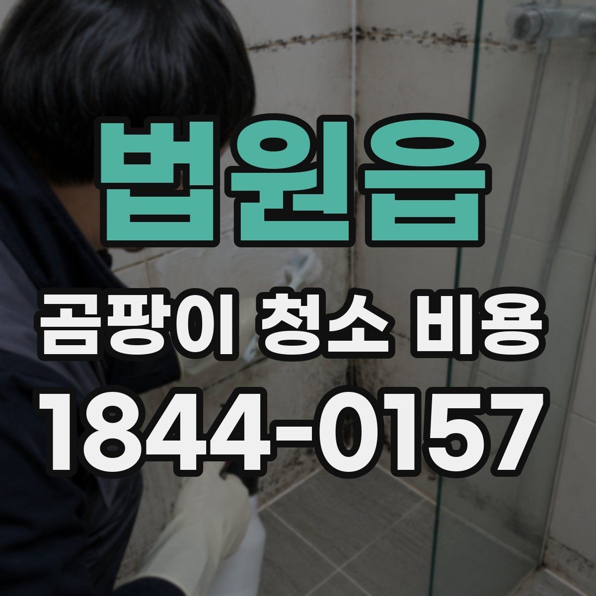 법원읍 곰팡이 청소 비용 욕실 누수 뒤 확인해야 할 순서와 항목