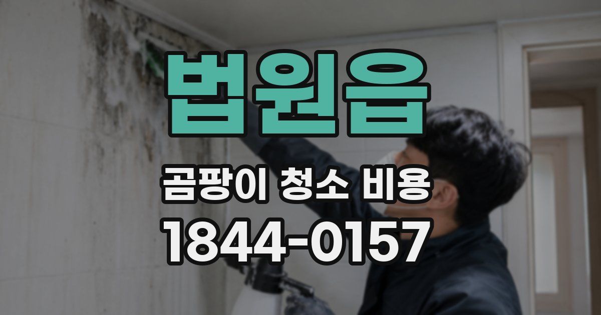 법원읍 곰팡이 청소 비용