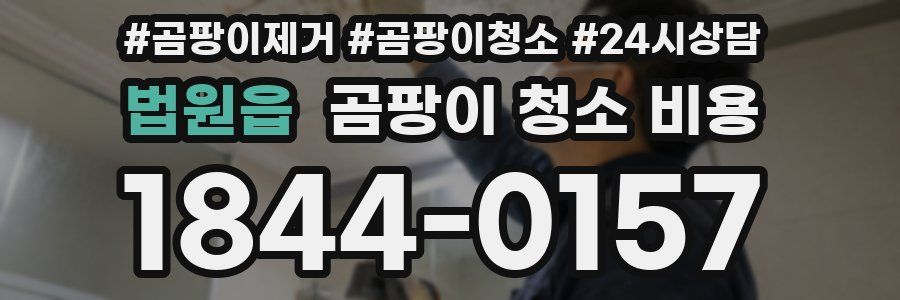 법원읍 곰팡이 청소 비용
