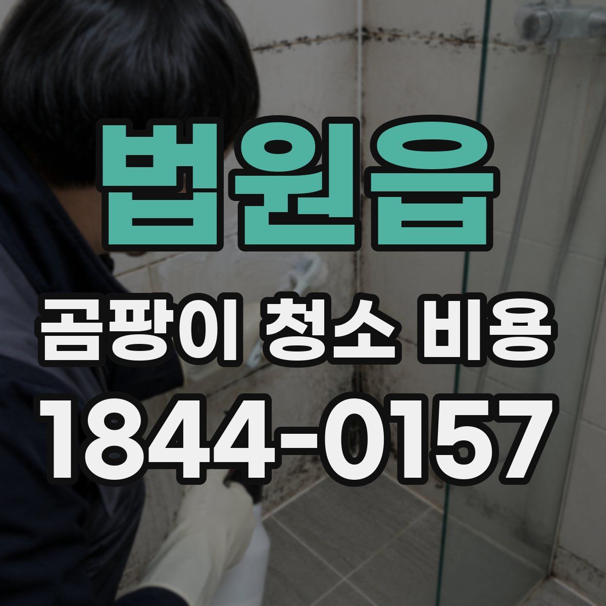 법원읍 곰팡이 청소 비용
