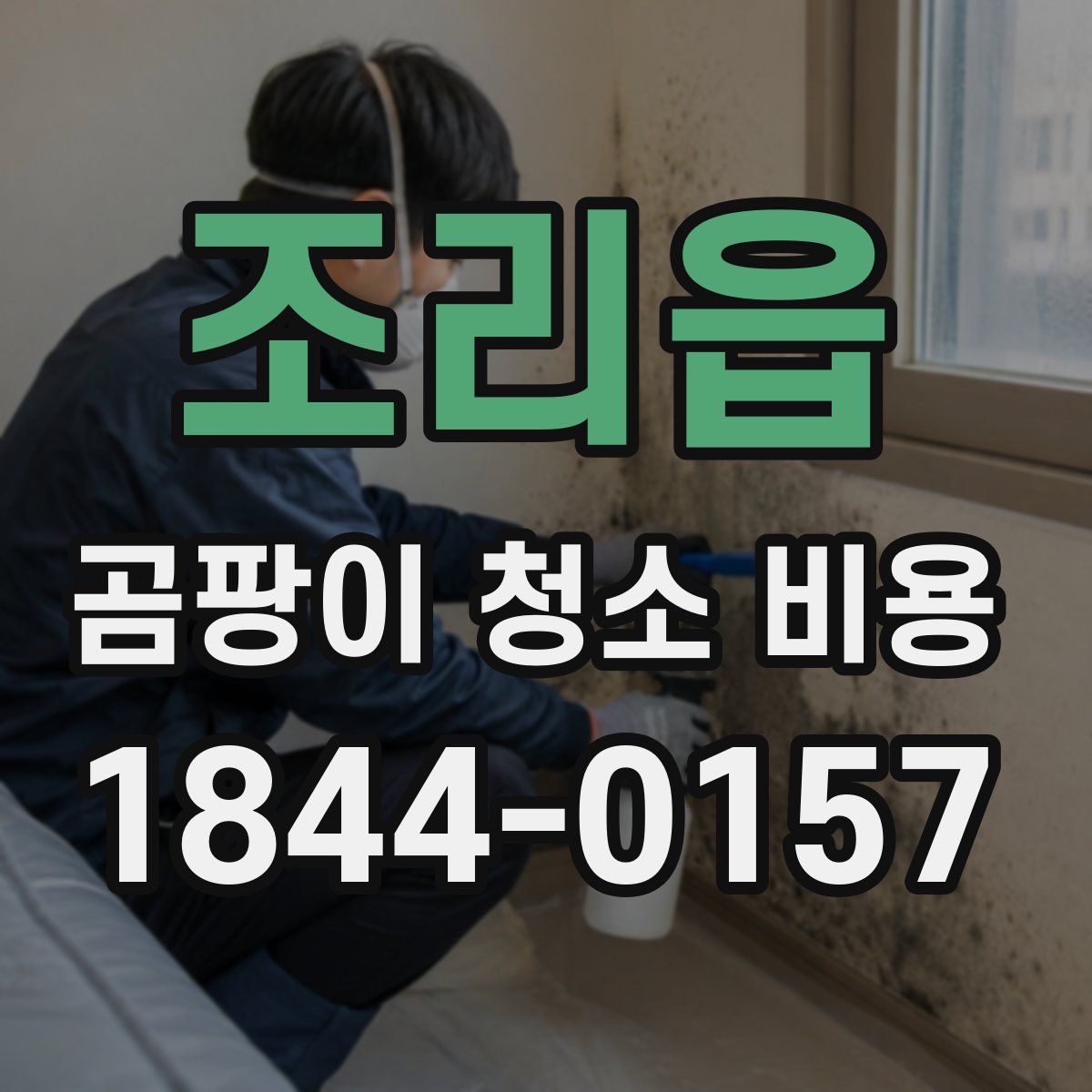 조리읍 곰팡이 청소 비용
