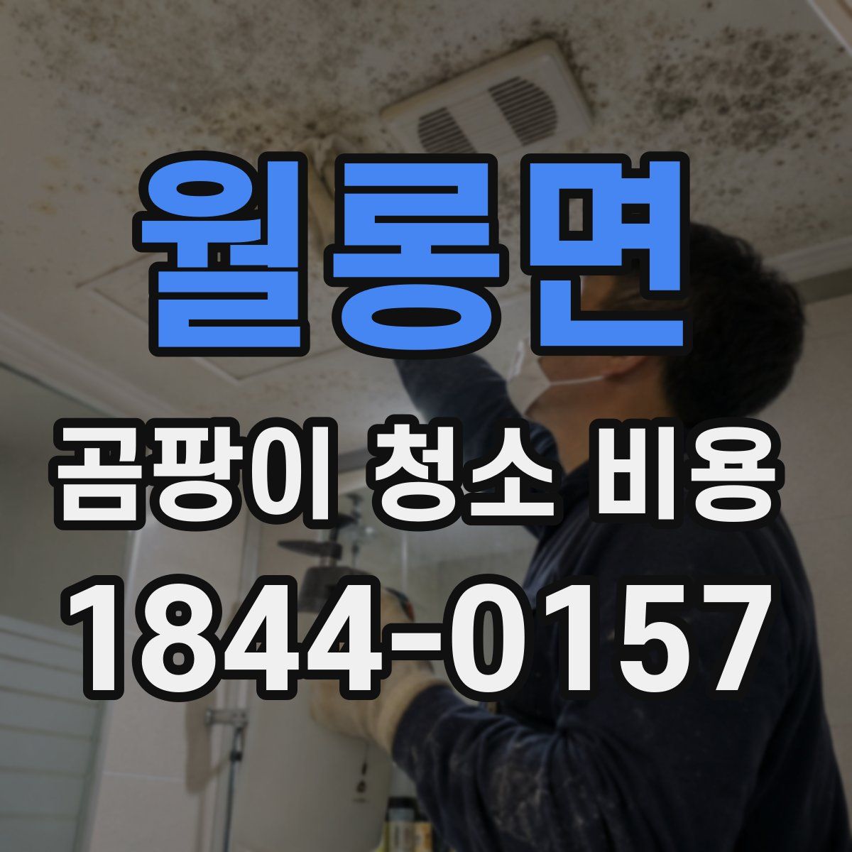 월롱면 곰팡이 청소 비용