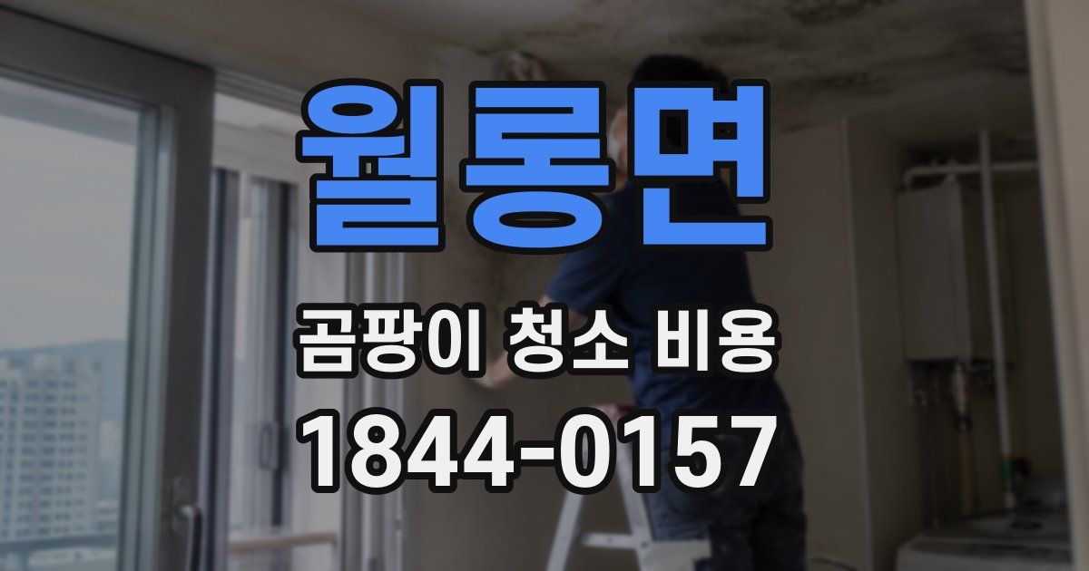 월롱면 곰팡이 청소 비용