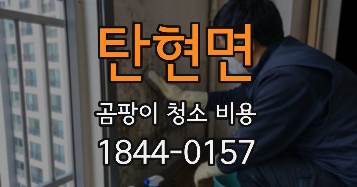 탄현면 곰팡이 청소 비용