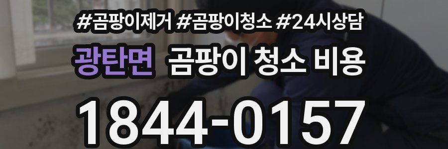 광탄면 곰팡이 청소 비용