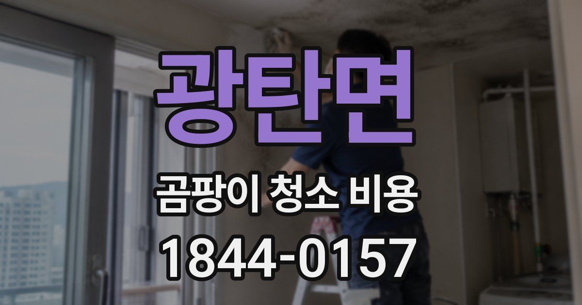 광탄면 곰팡이 청소 비용