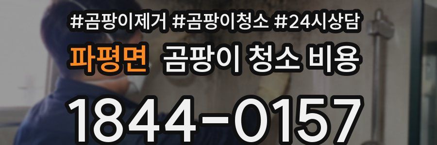 파평면 곰팡이 청소 비용