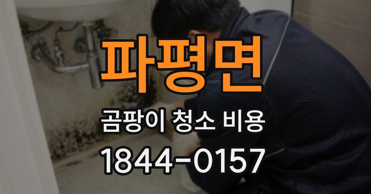 파평면 곰팡이 청소 비용