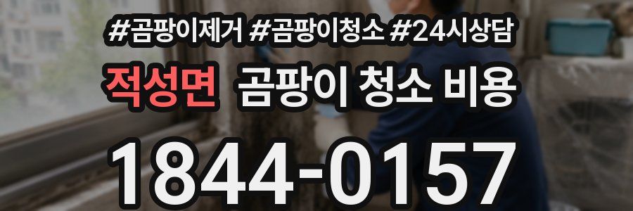 적성면 곰팡이 청소 비용