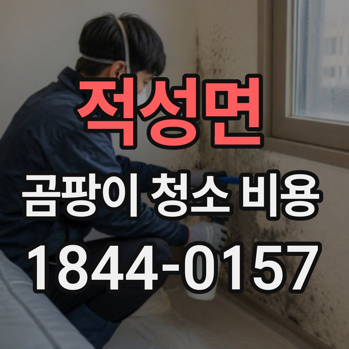 적성면 곰팡이 청소 비용