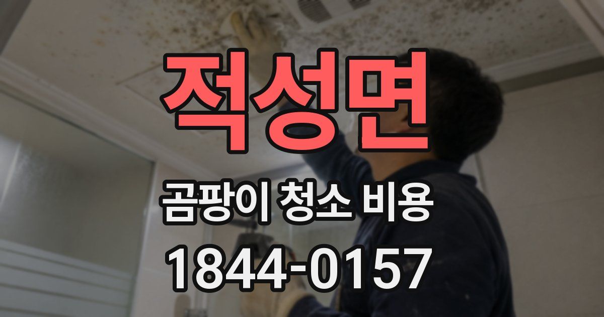 적성면 곰팡이 청소 비용
