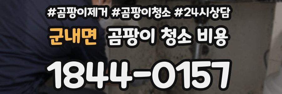 군내면 곰팡이 청소 비용