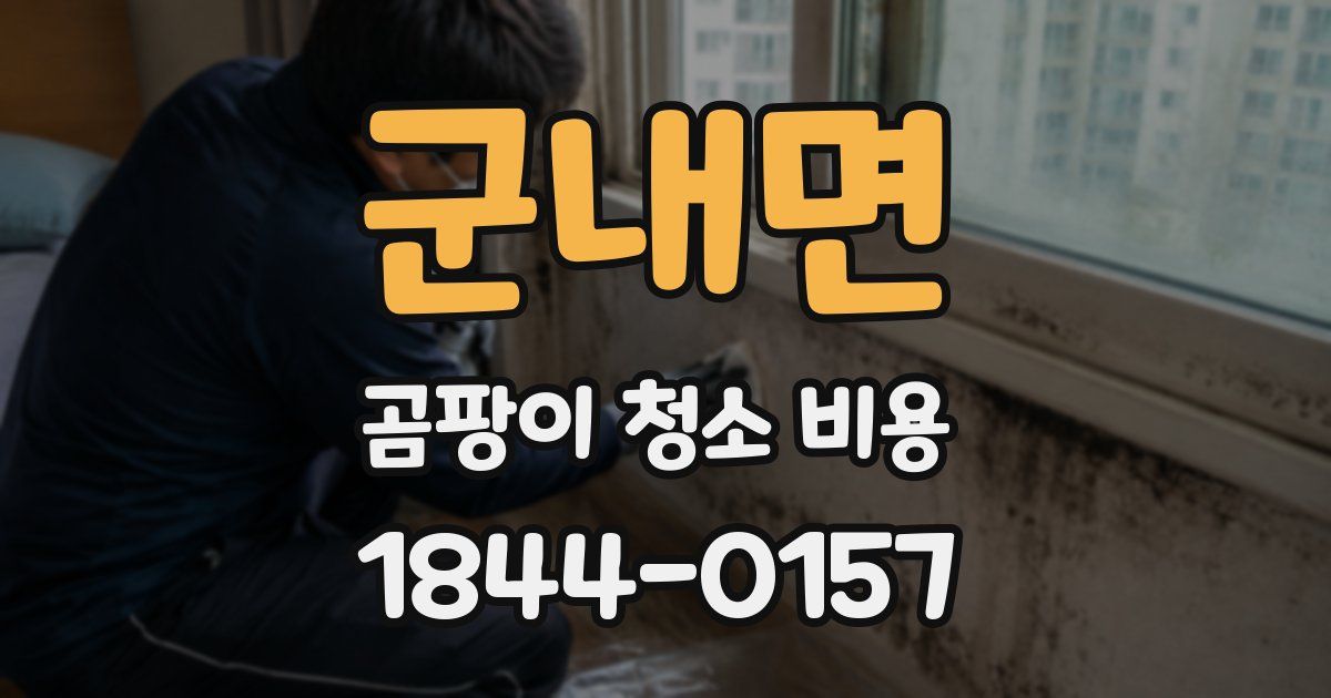 군내면 곰팡이 청소 비용