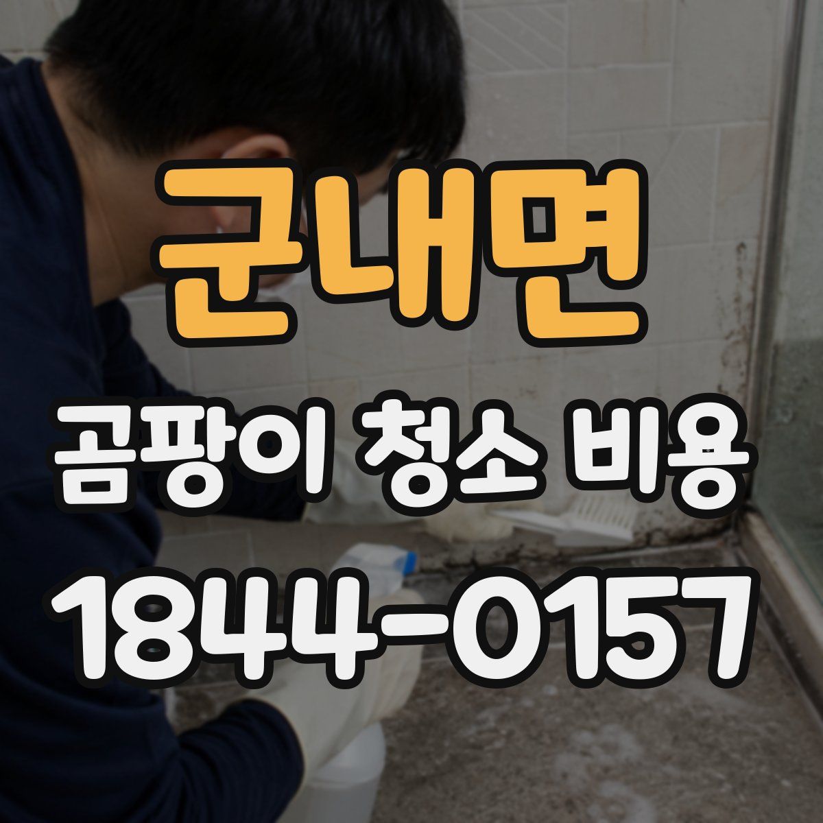 군내면 곰팡이 청소 비용