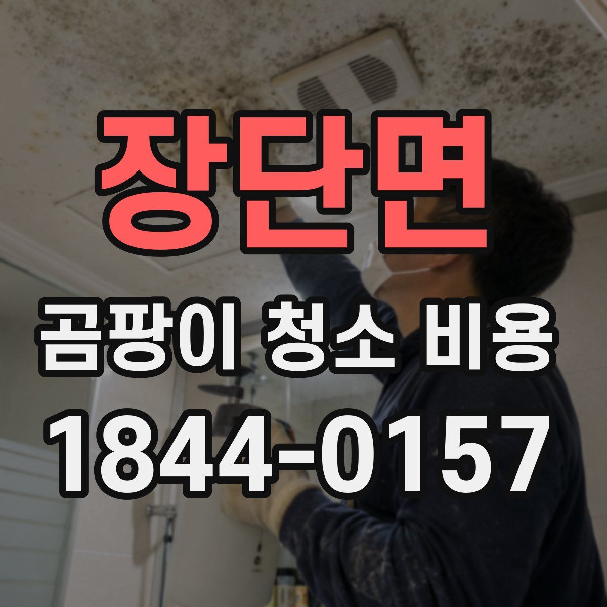 장단면 곰팡이 청소 비용
