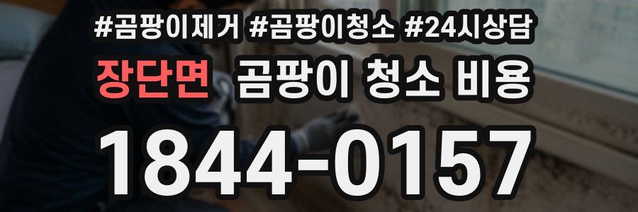 장단면 곰팡이 청소 비용