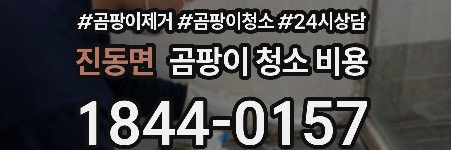 진동면 곰팡이 청소 비용