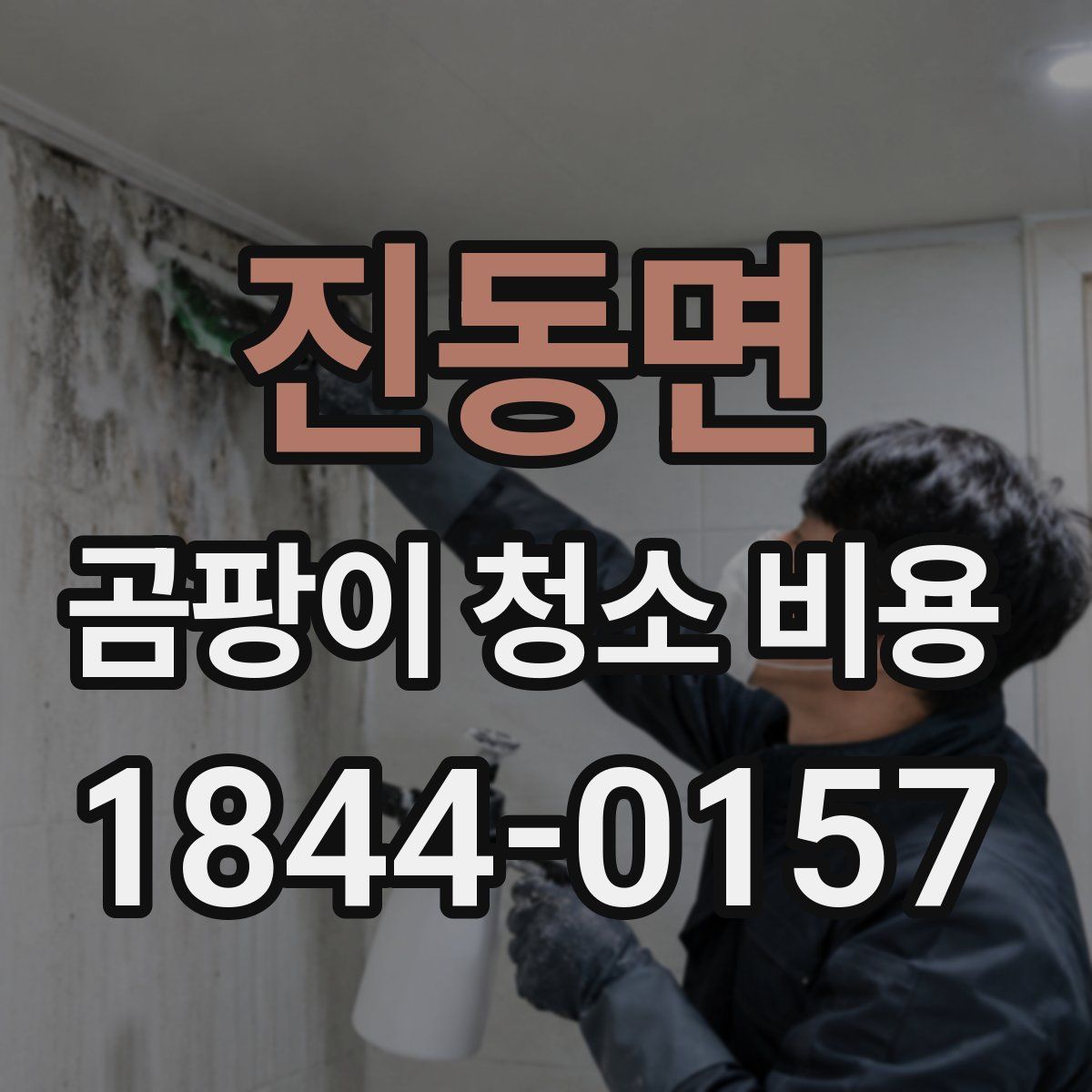 진동면 곰팡이 청소 비용