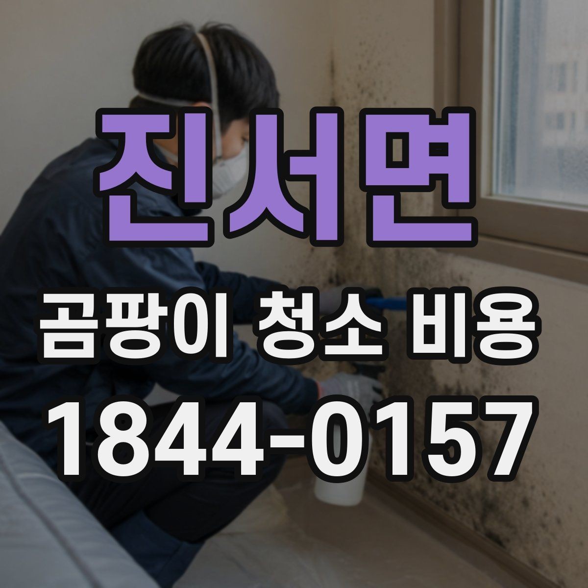 진서면 곰팡이 청소 비용 옷장 안쪽과 붙박이장 주변 처리 방식