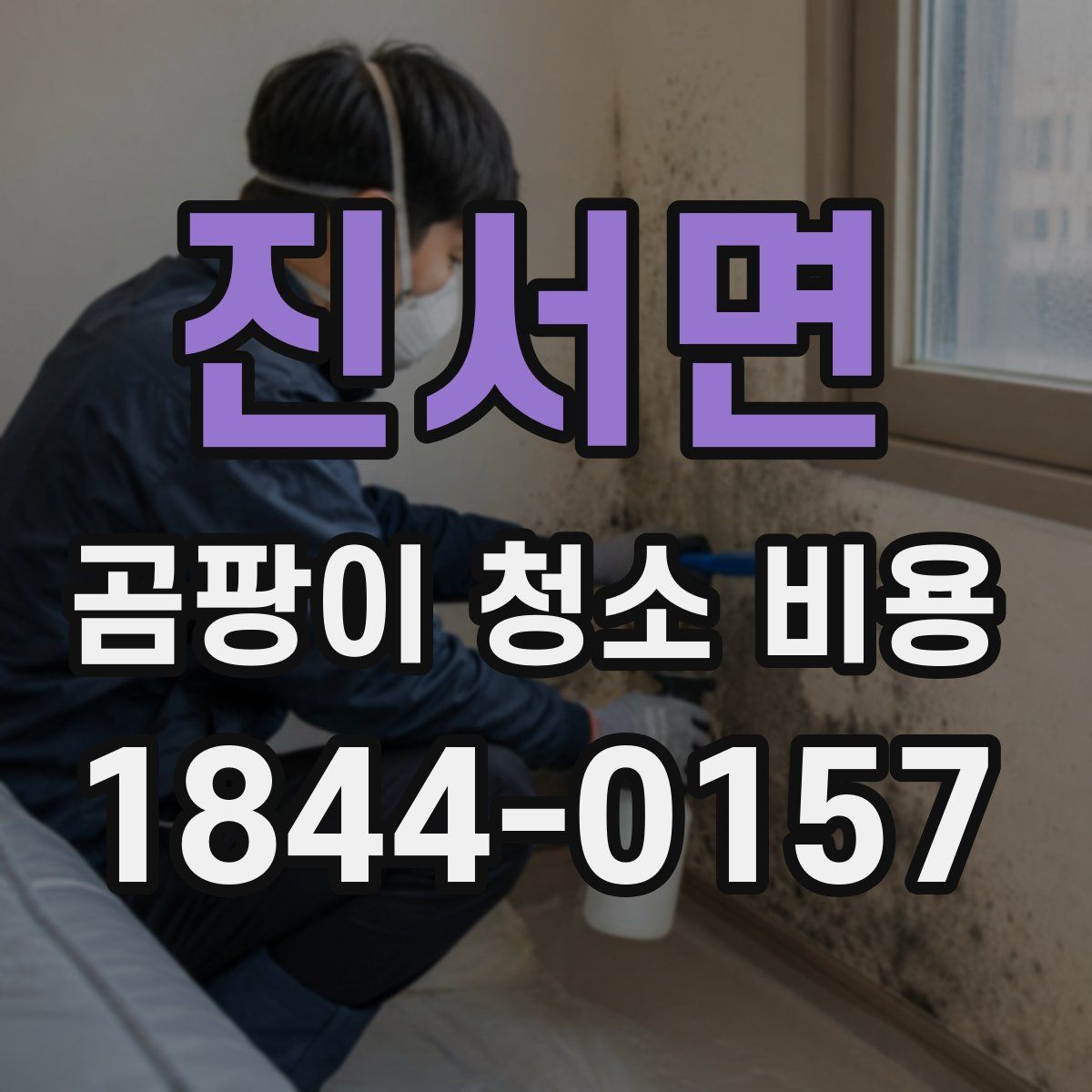 진서면 곰팡이 청소 비용