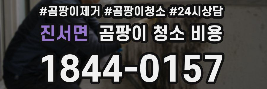 진서면 곰팡이 청소 비용