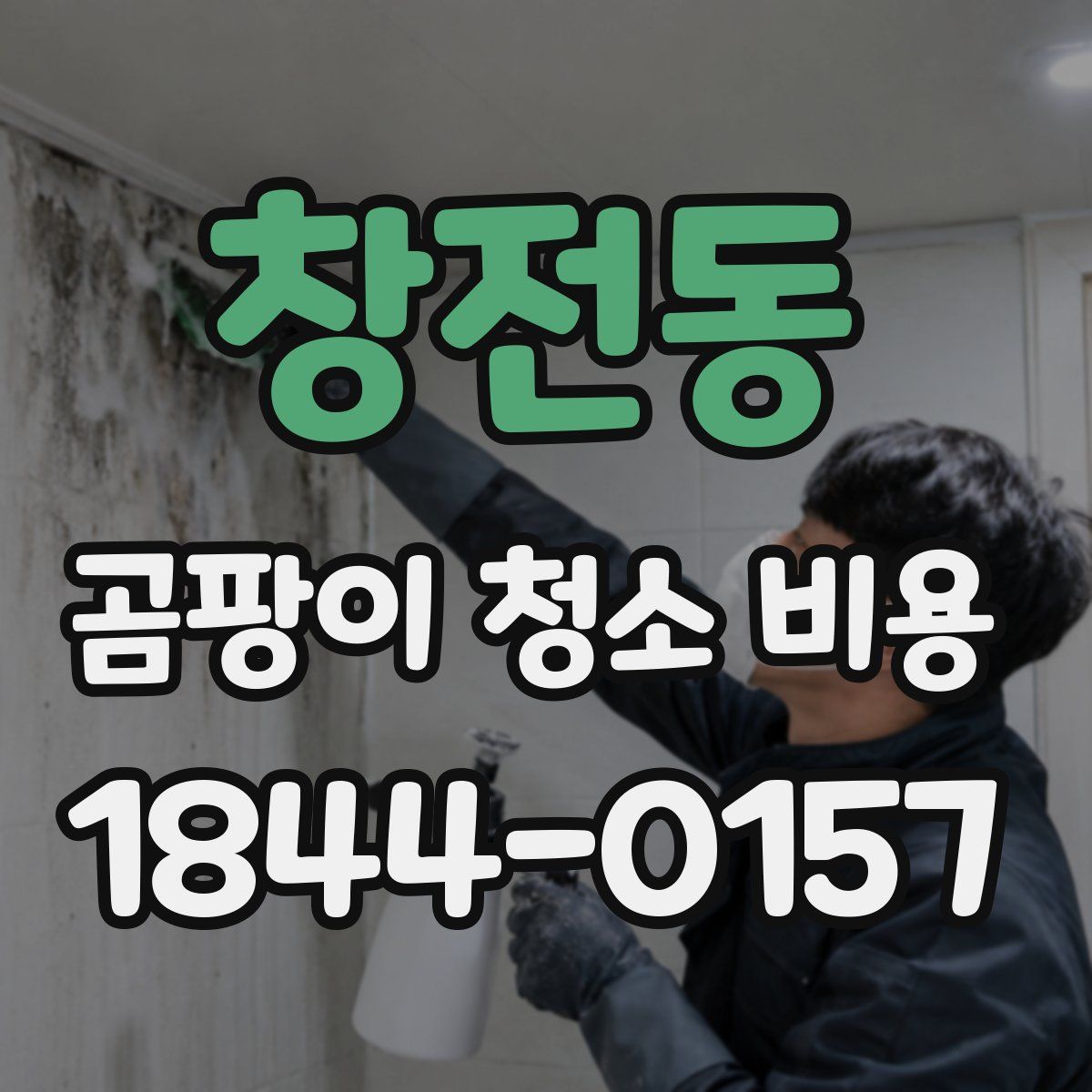 창전동 곰팡이 청소 비용