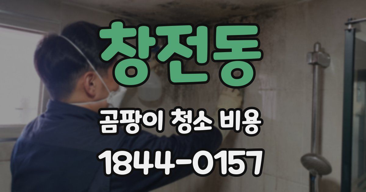 창전동 곰팡이 청소 비용