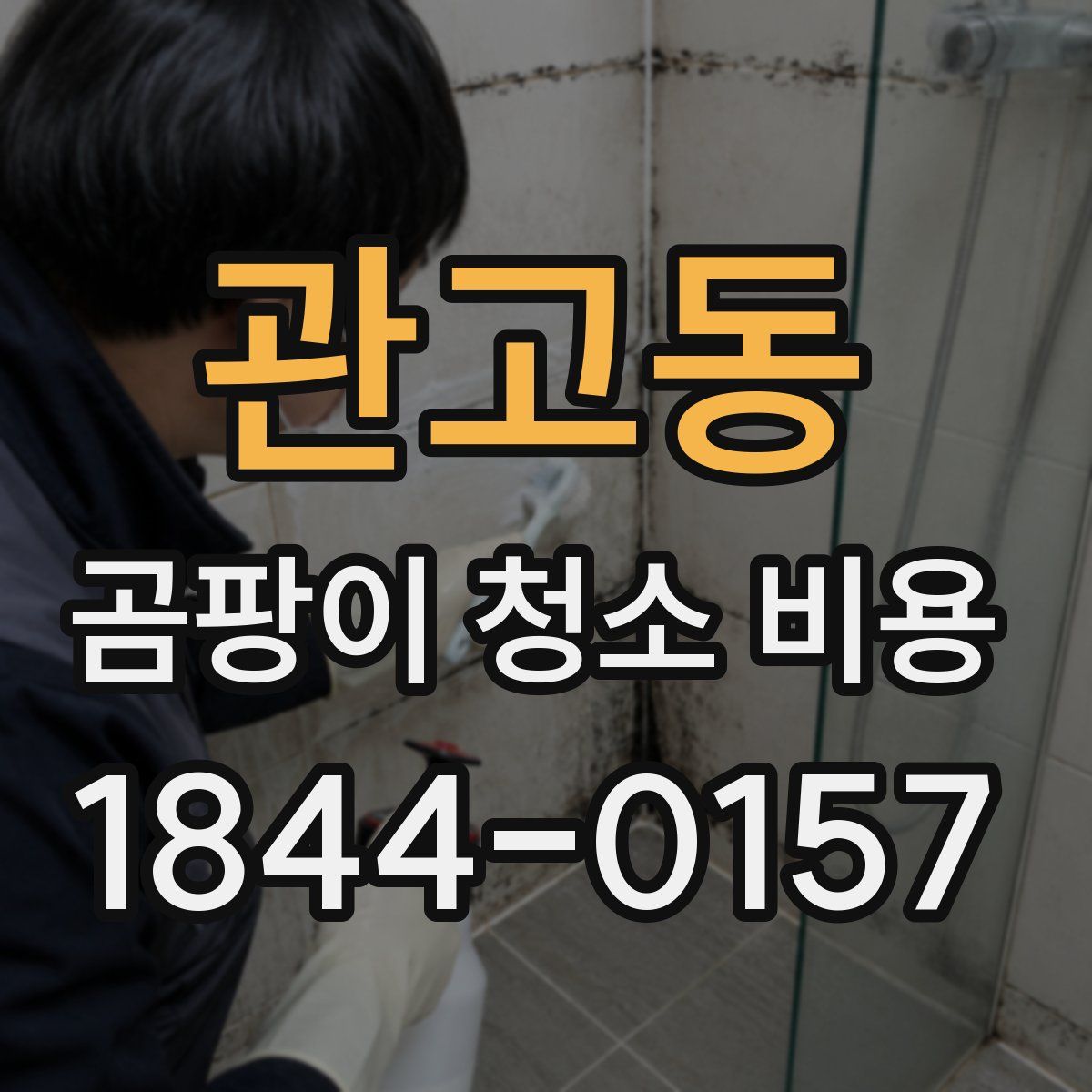 관고동 곰팡이 청소 비용