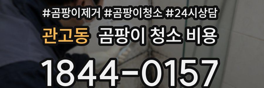 관고동 곰팡이 청소 비용