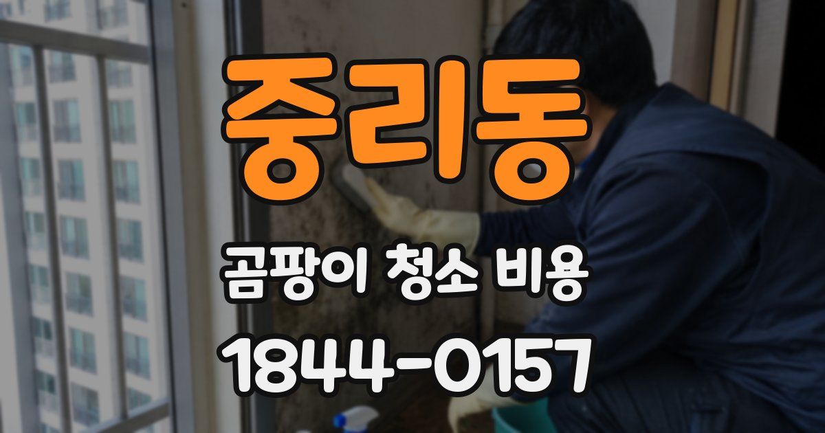 중리동 곰팡이 청소 비용