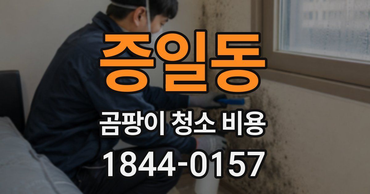 증일동 곰팡이 청소 비용