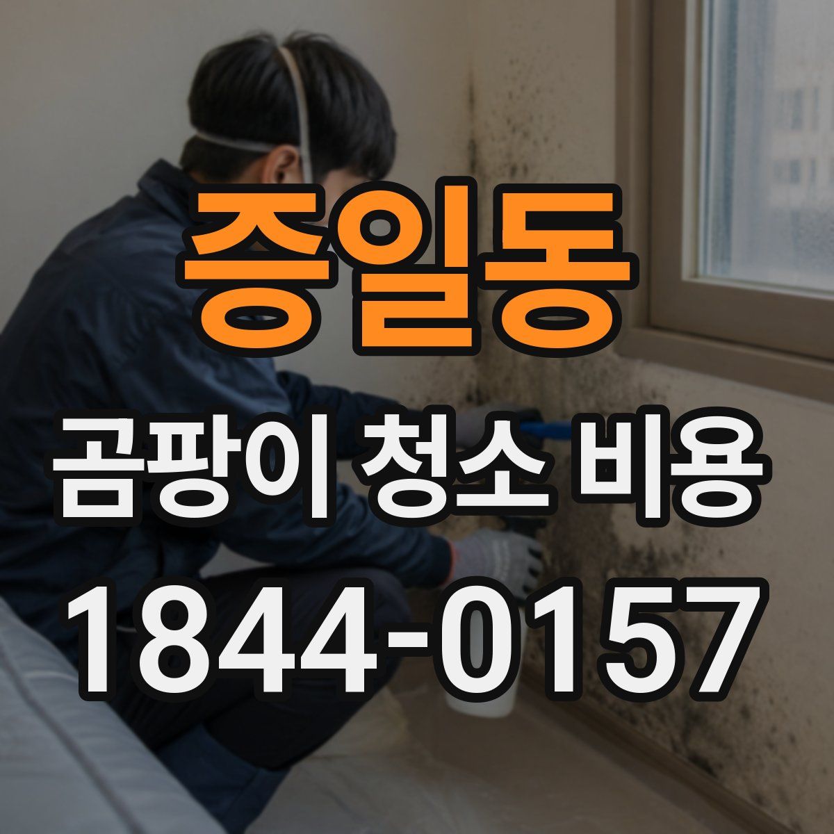 증일동 곰팡이 청소 비용