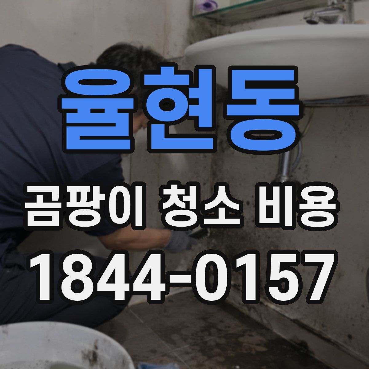 율현동 곰팡이 청소 비용