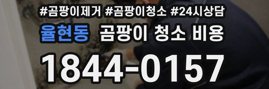 율현동 곰팡이 청소 비용