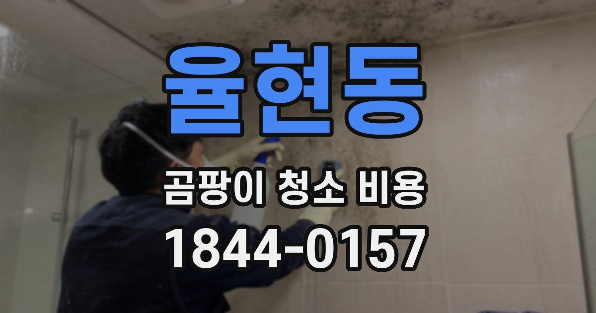 율현동 곰팡이 청소 비용