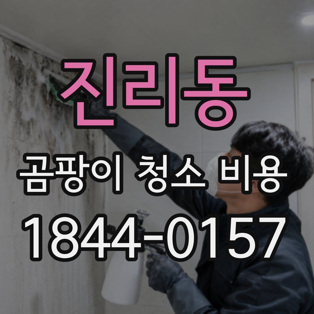 진리동 곰팡이 청소 비용