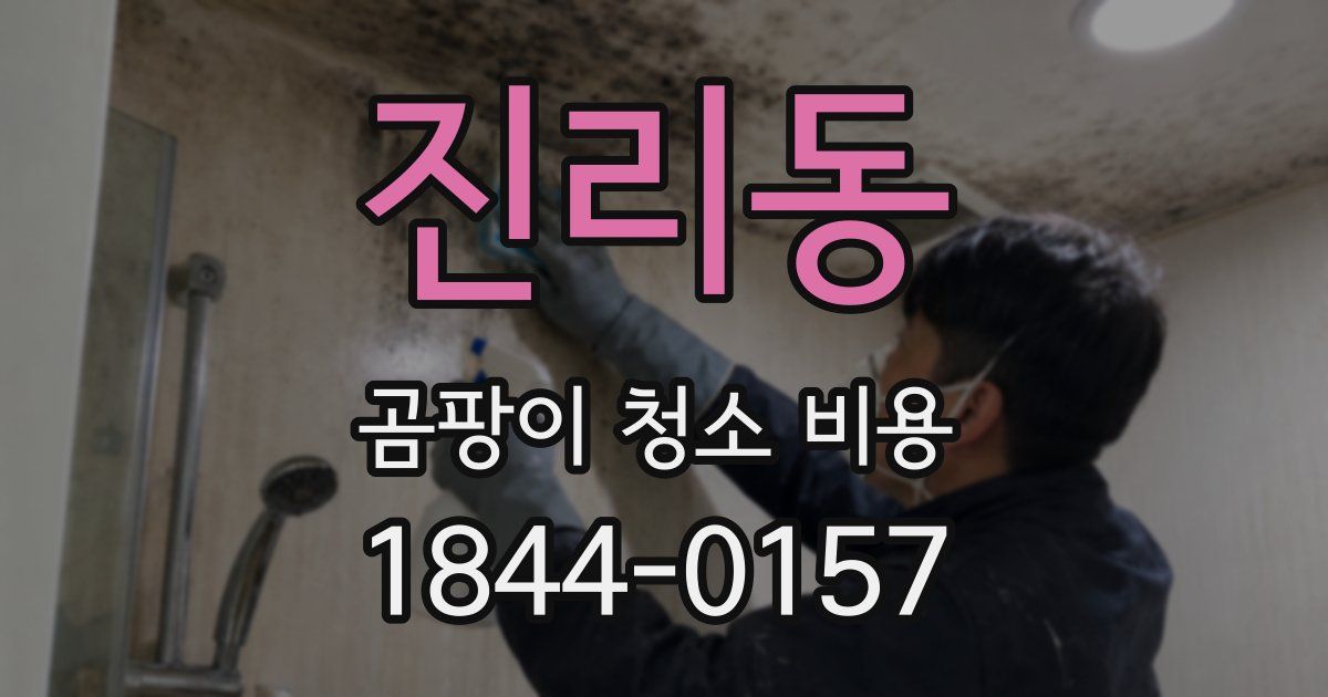 진리동 곰팡이 청소 비용