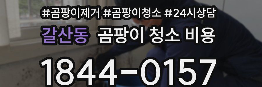 갈산동 곰팡이 청소 비용